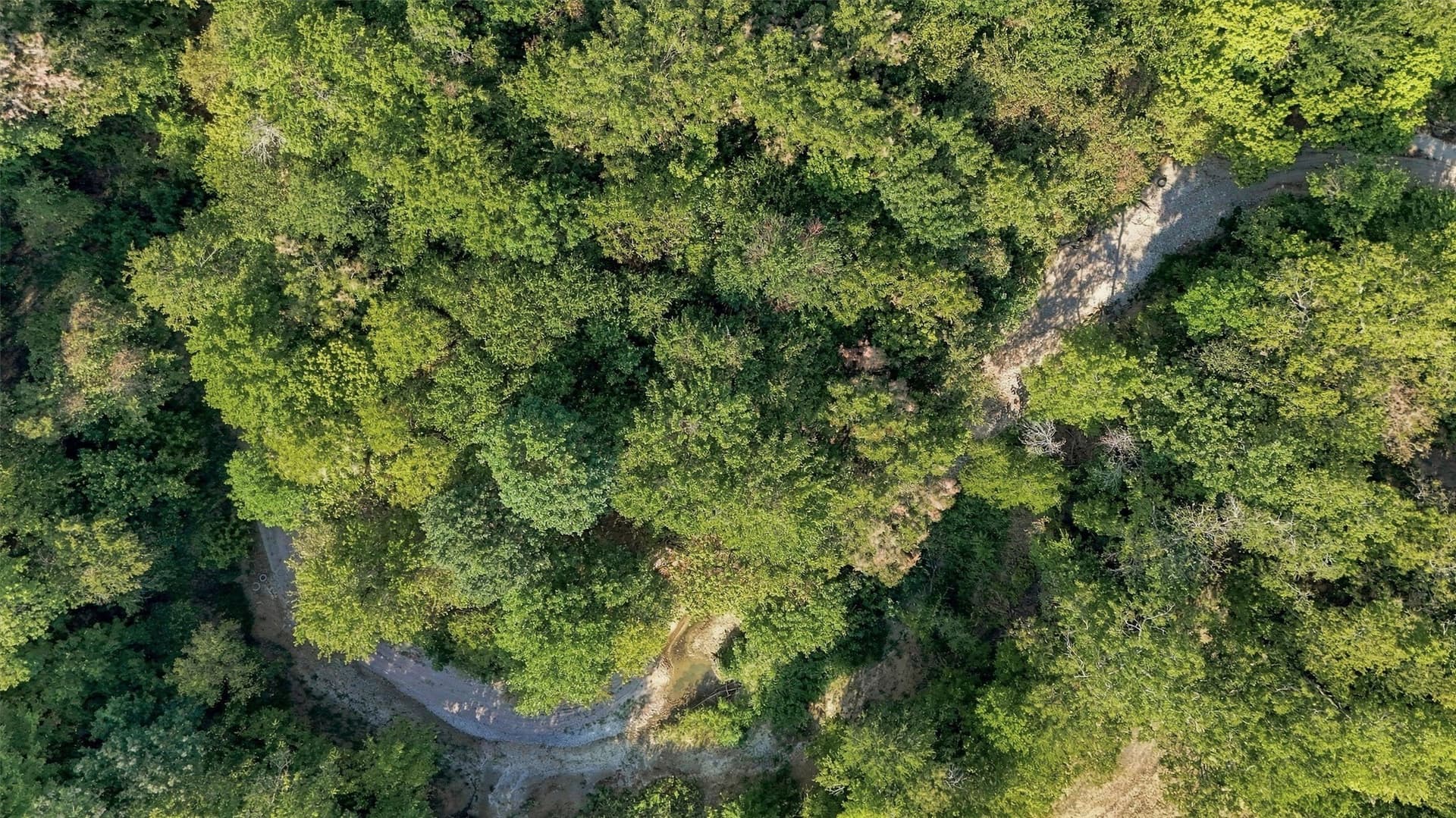 21.35 acres in Grayson County - photo 39