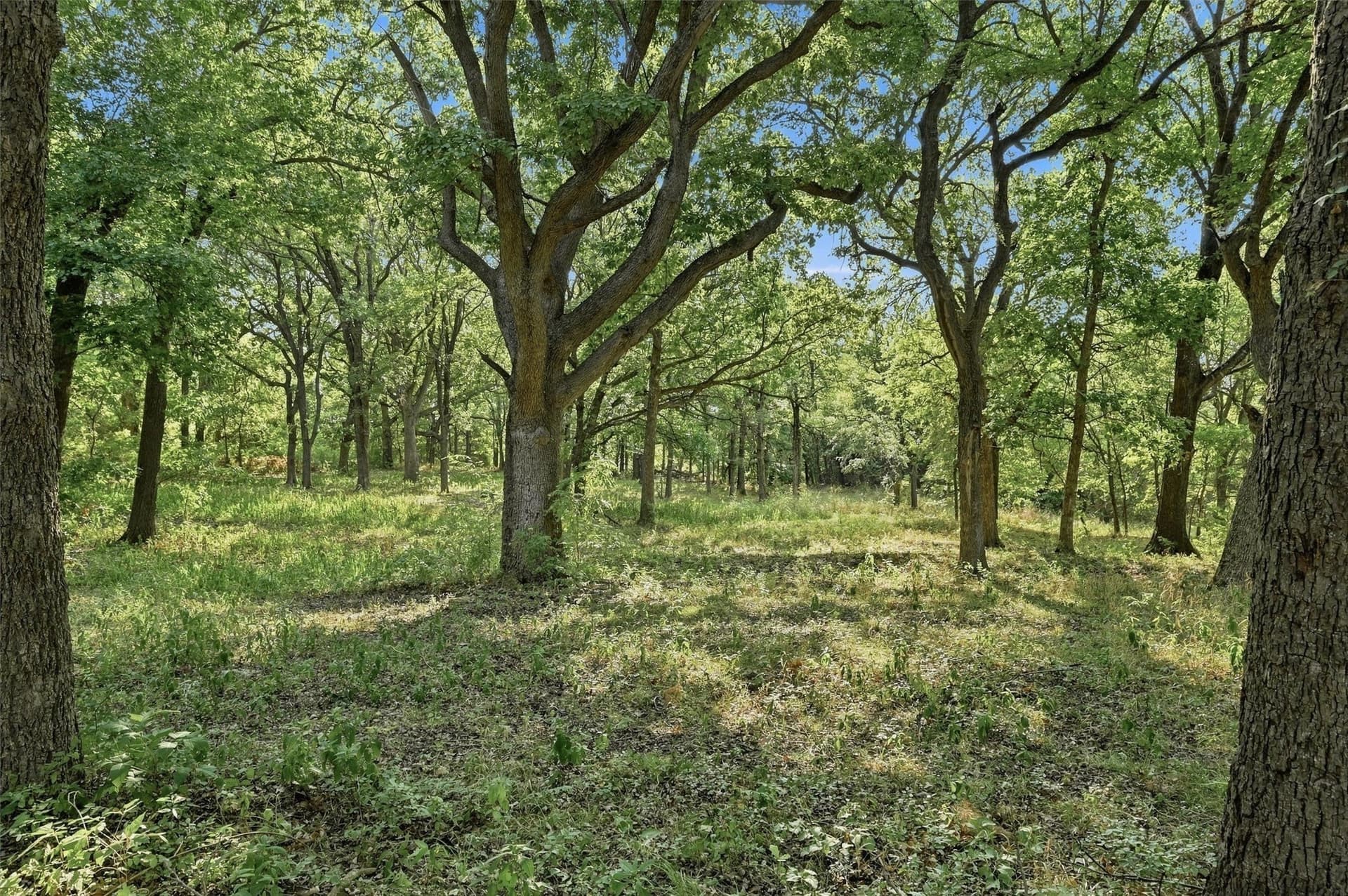 21.35 acres in Grayson County - photo 28