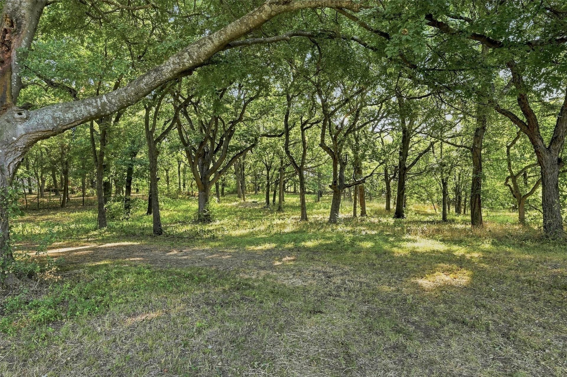 21.35 acres in Grayson County - photo 27