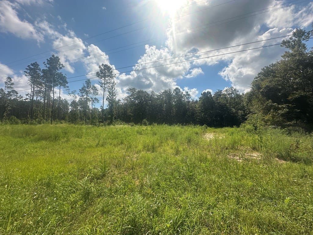 10.01 acres in Texas County featured view