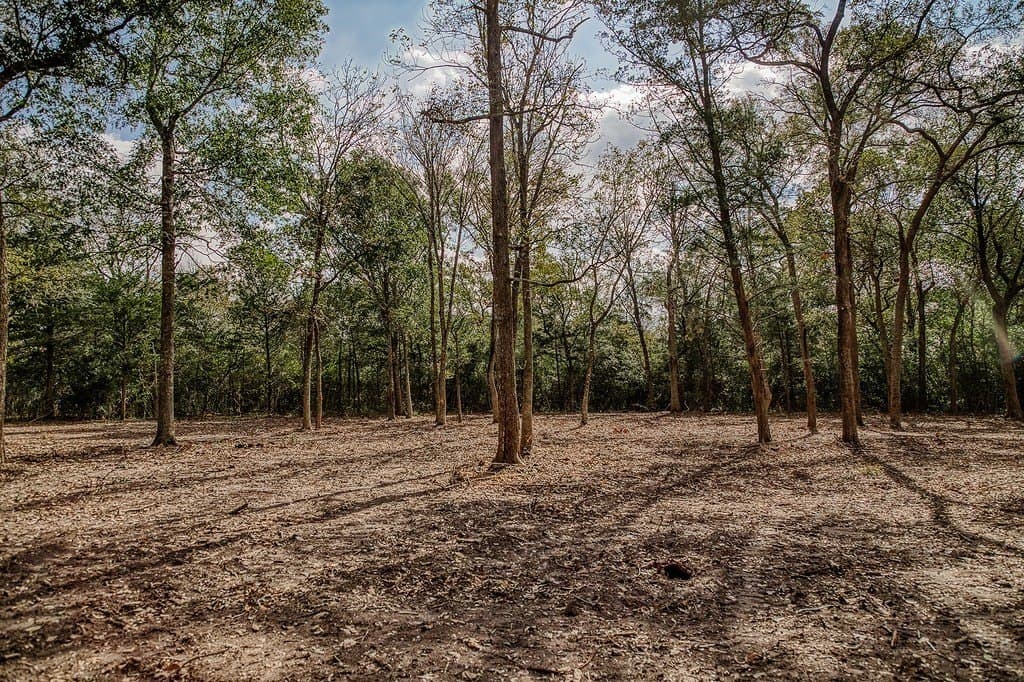 32.2 acres in Washington County - photo 14