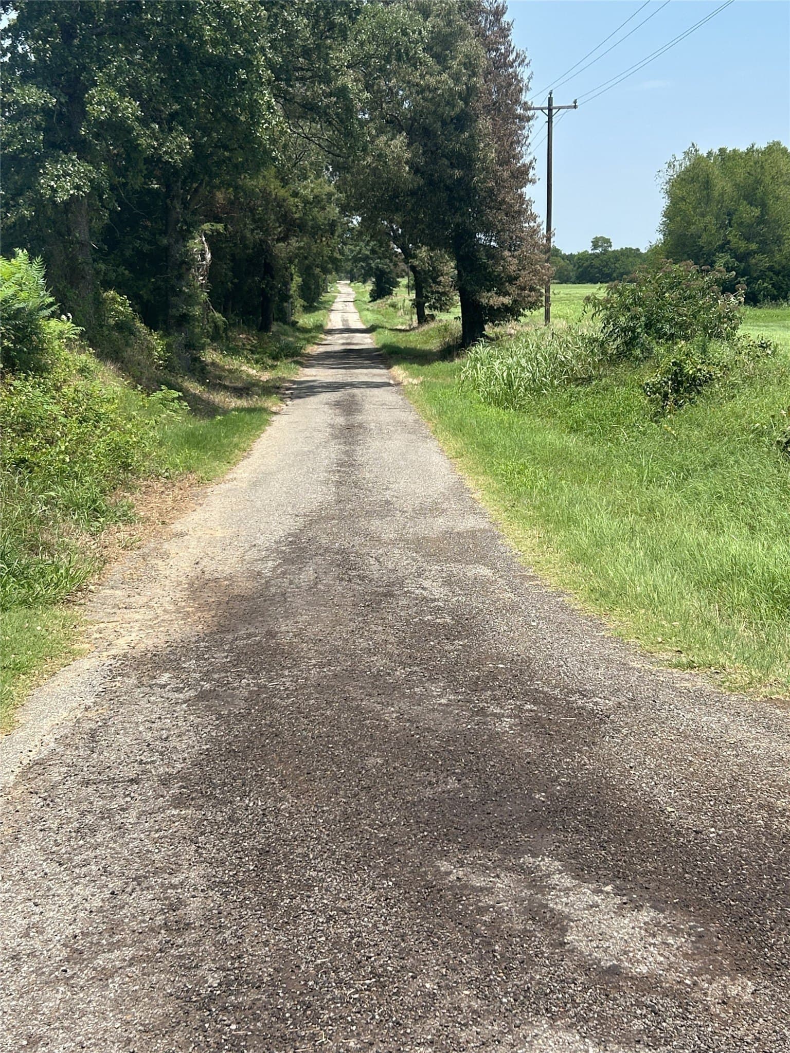 10.2 acres in Hopkins County - photo 7