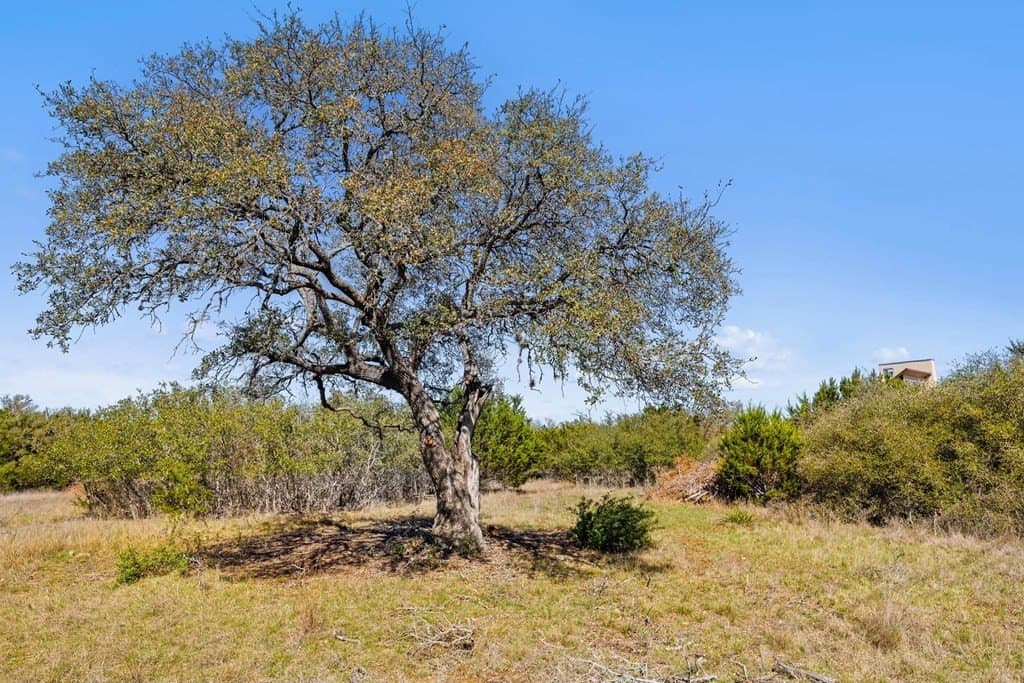 0.38 acres in Blanco County - photo 7