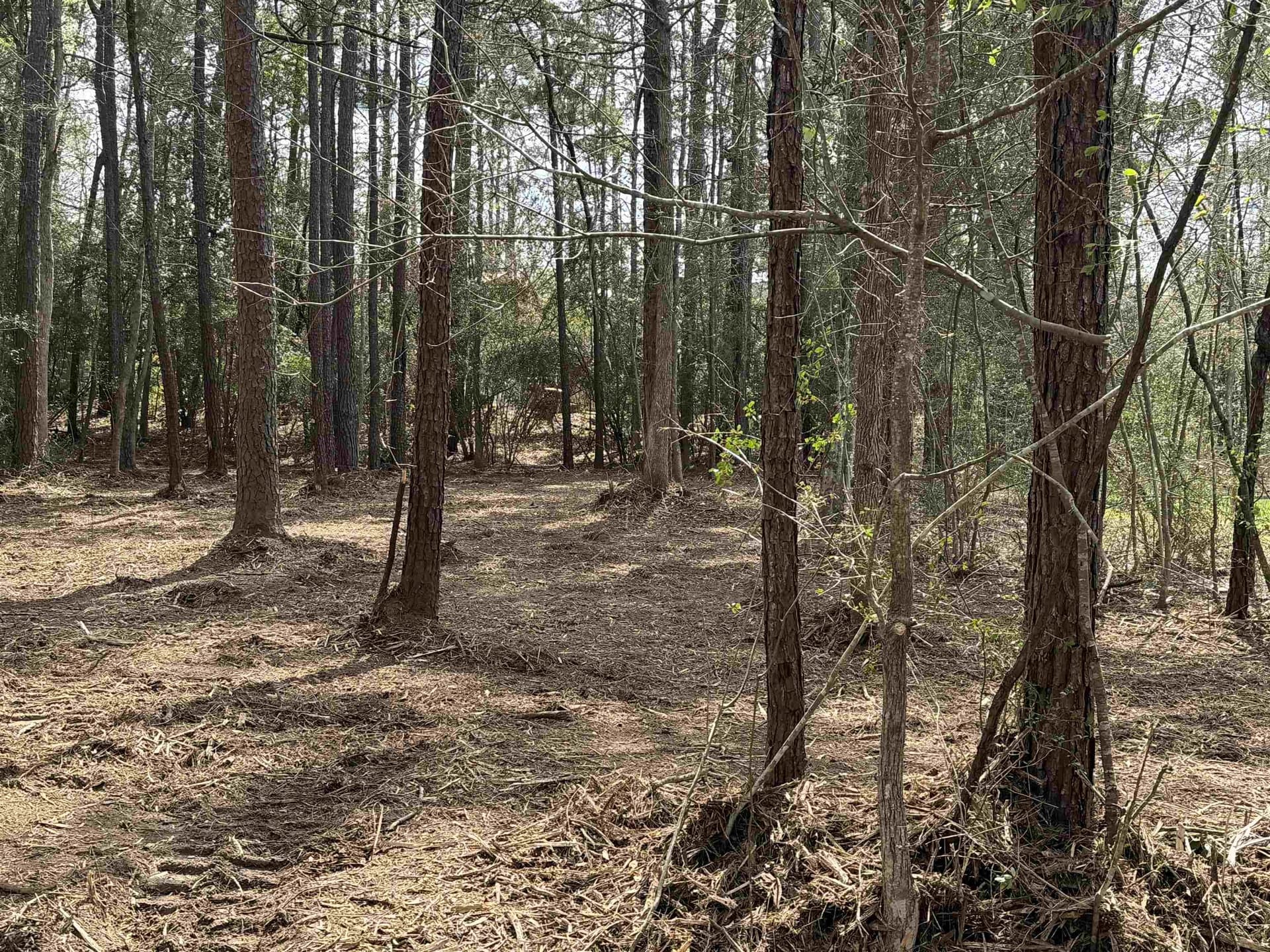 0.41 acres in Texas County - photo 3