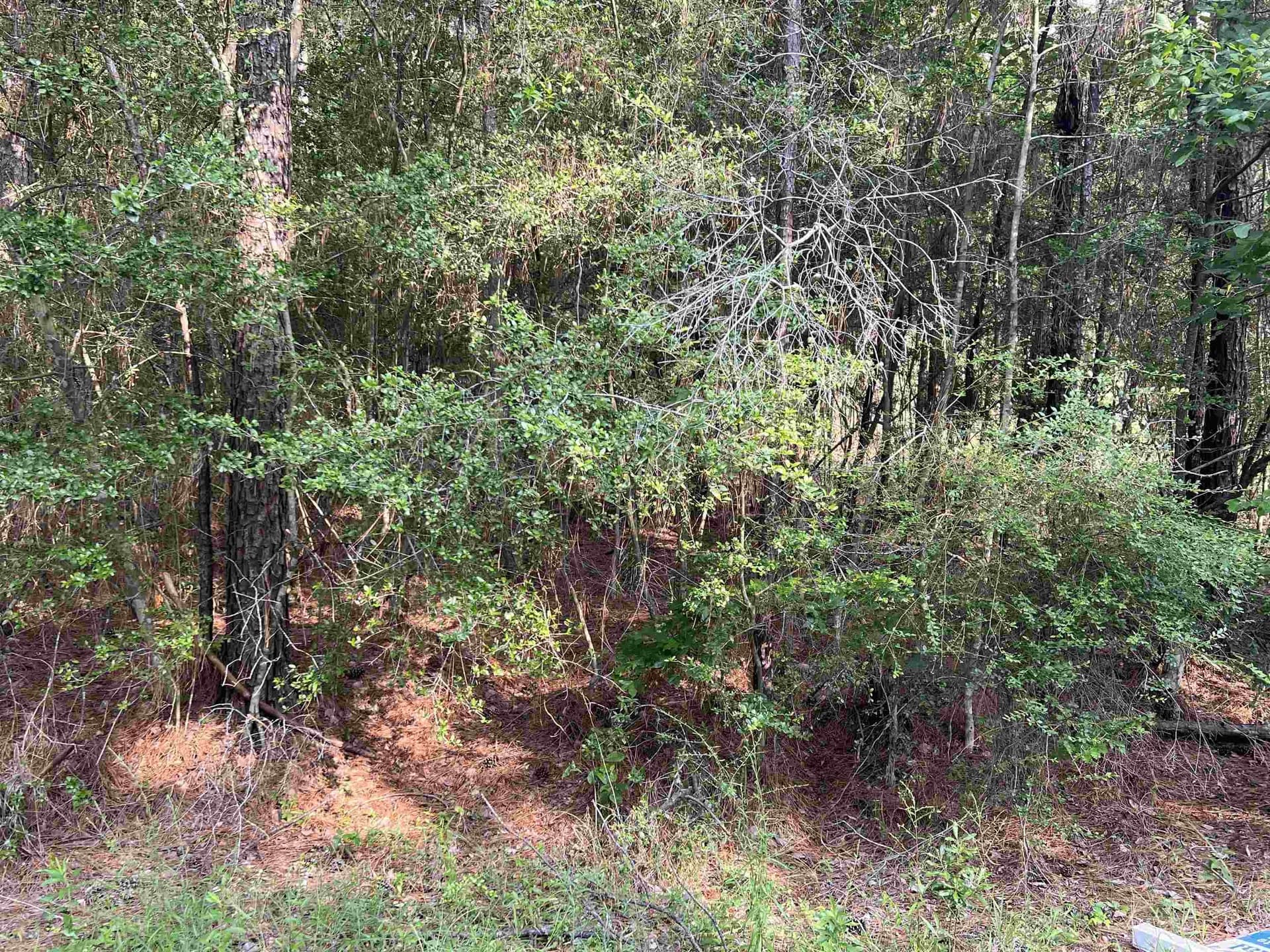 0.41 acres in Texas County - photo 8