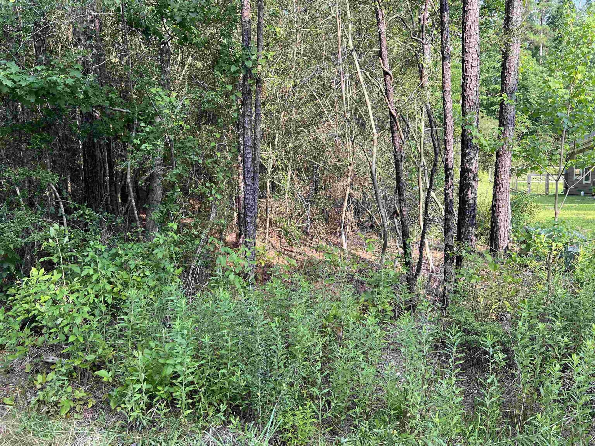 0.41 acres in Texas County - photo 6
