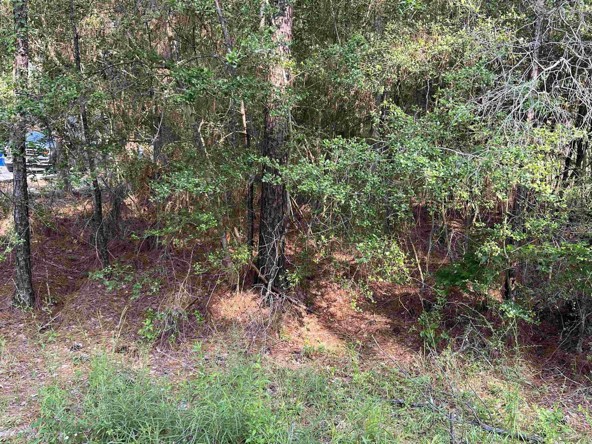 0.41 acres in Texas County - photo 9