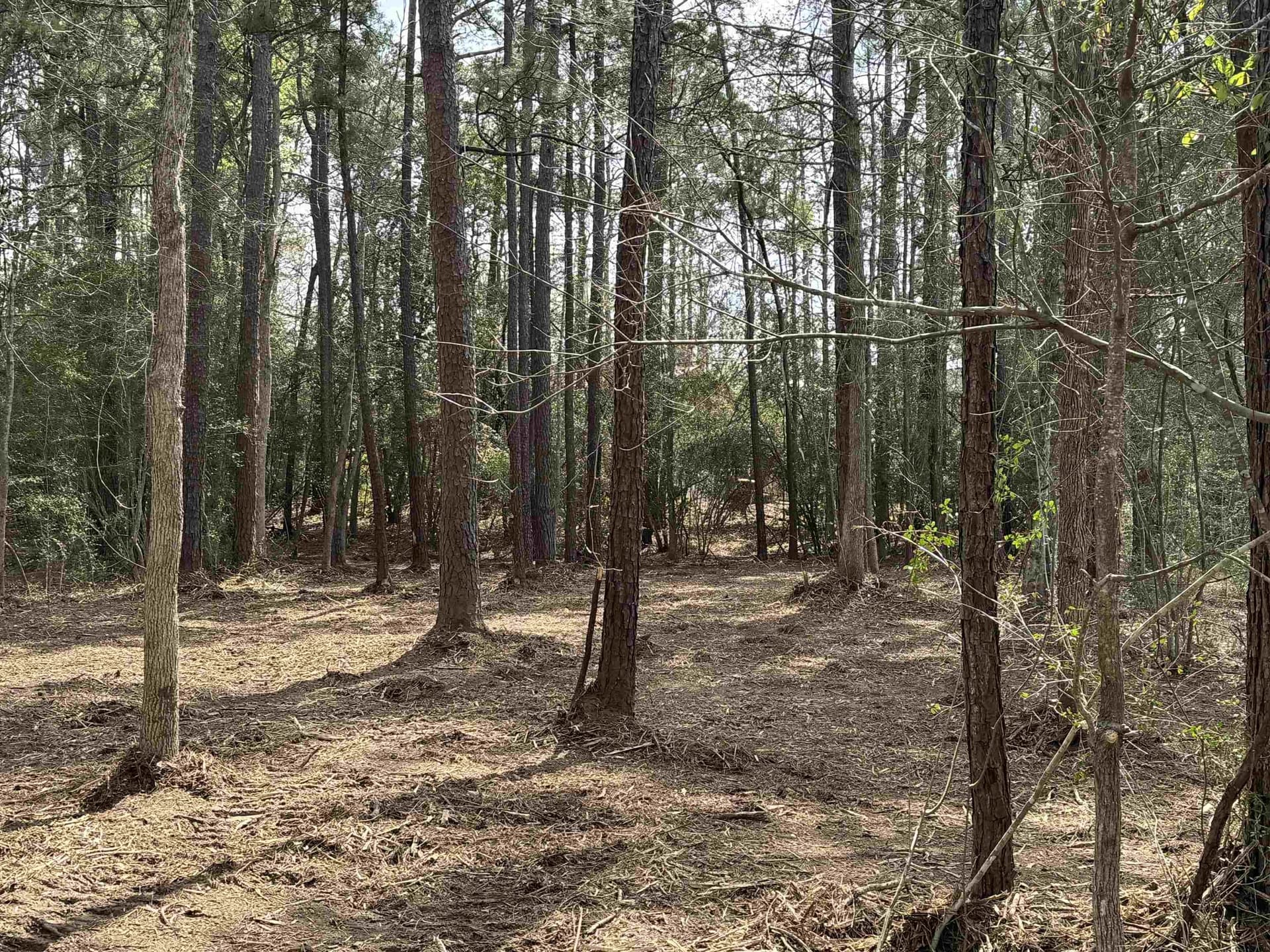 0.41 acres in Texas County - photo 4