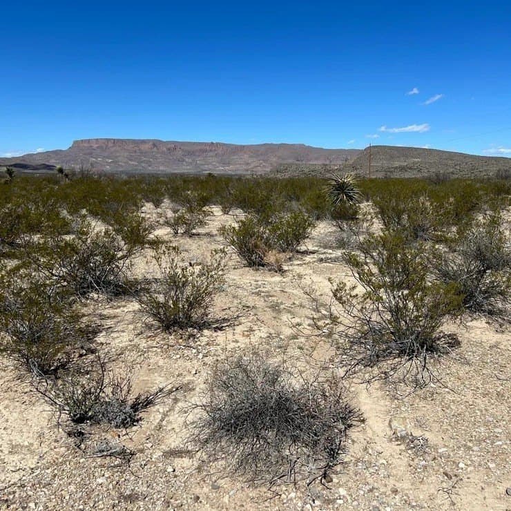 10 acres in Brewster County - photo 6