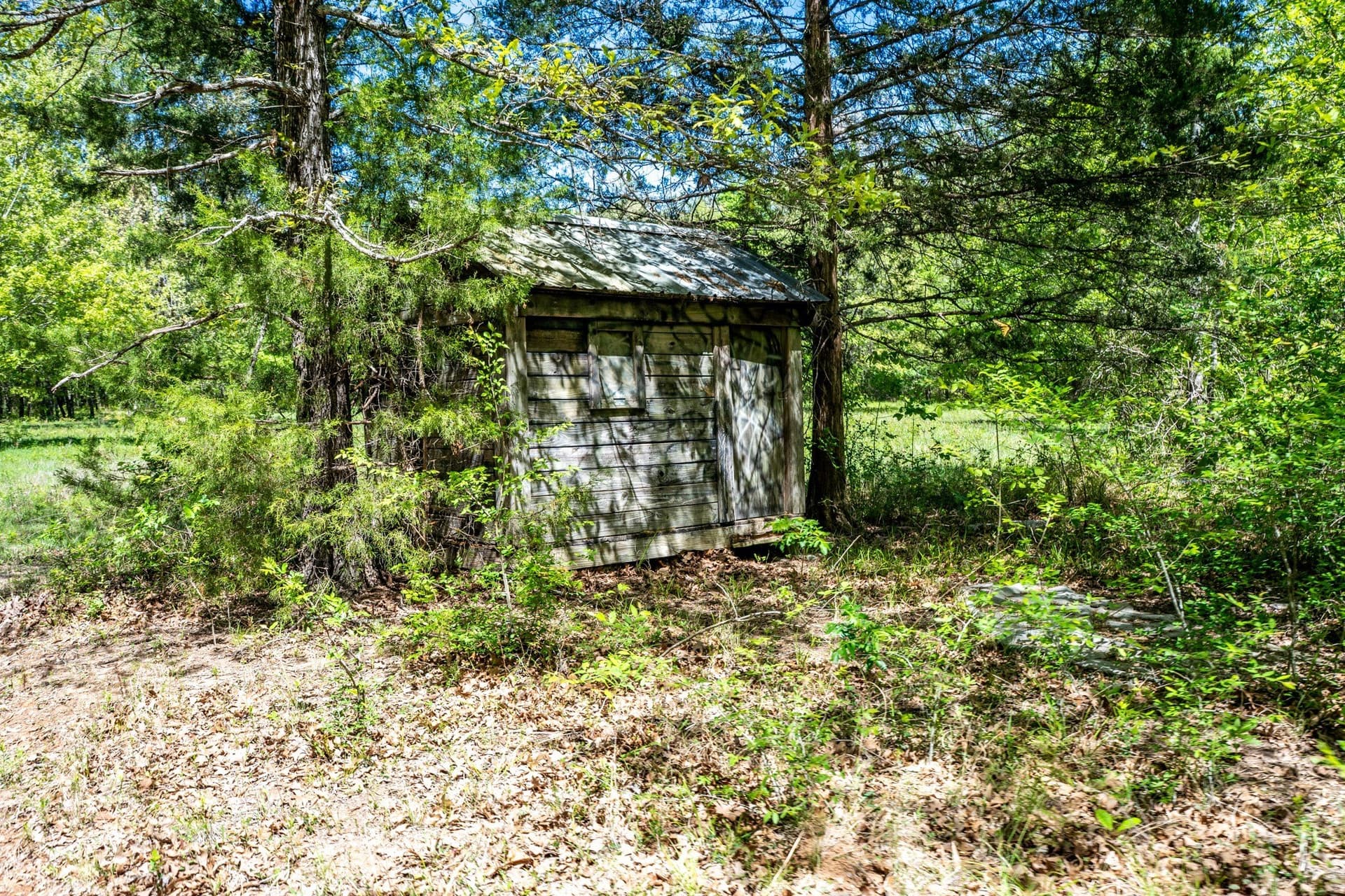 61 acres in Lamar County - photo 22