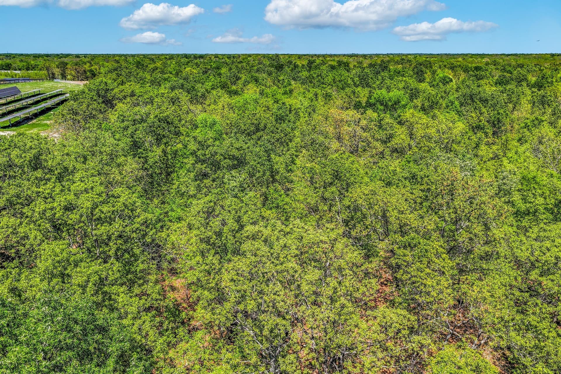 61 acres in Lamar County - photo 9