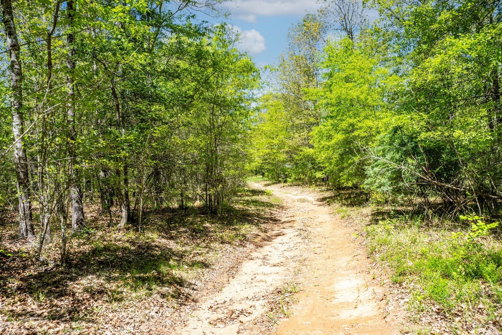 61 acres in Lamar County - photo 21