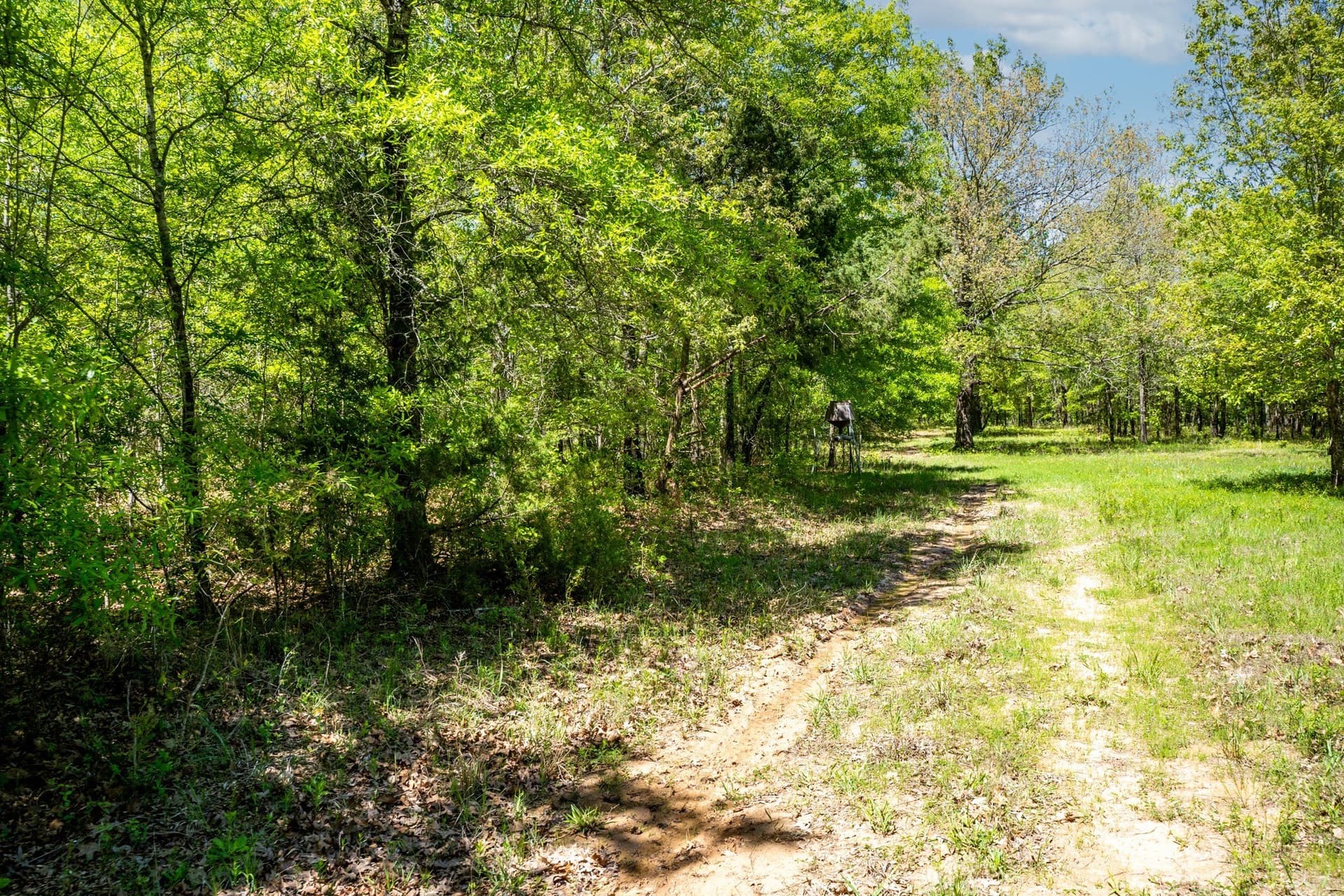61 acres in Lamar County - photo 23