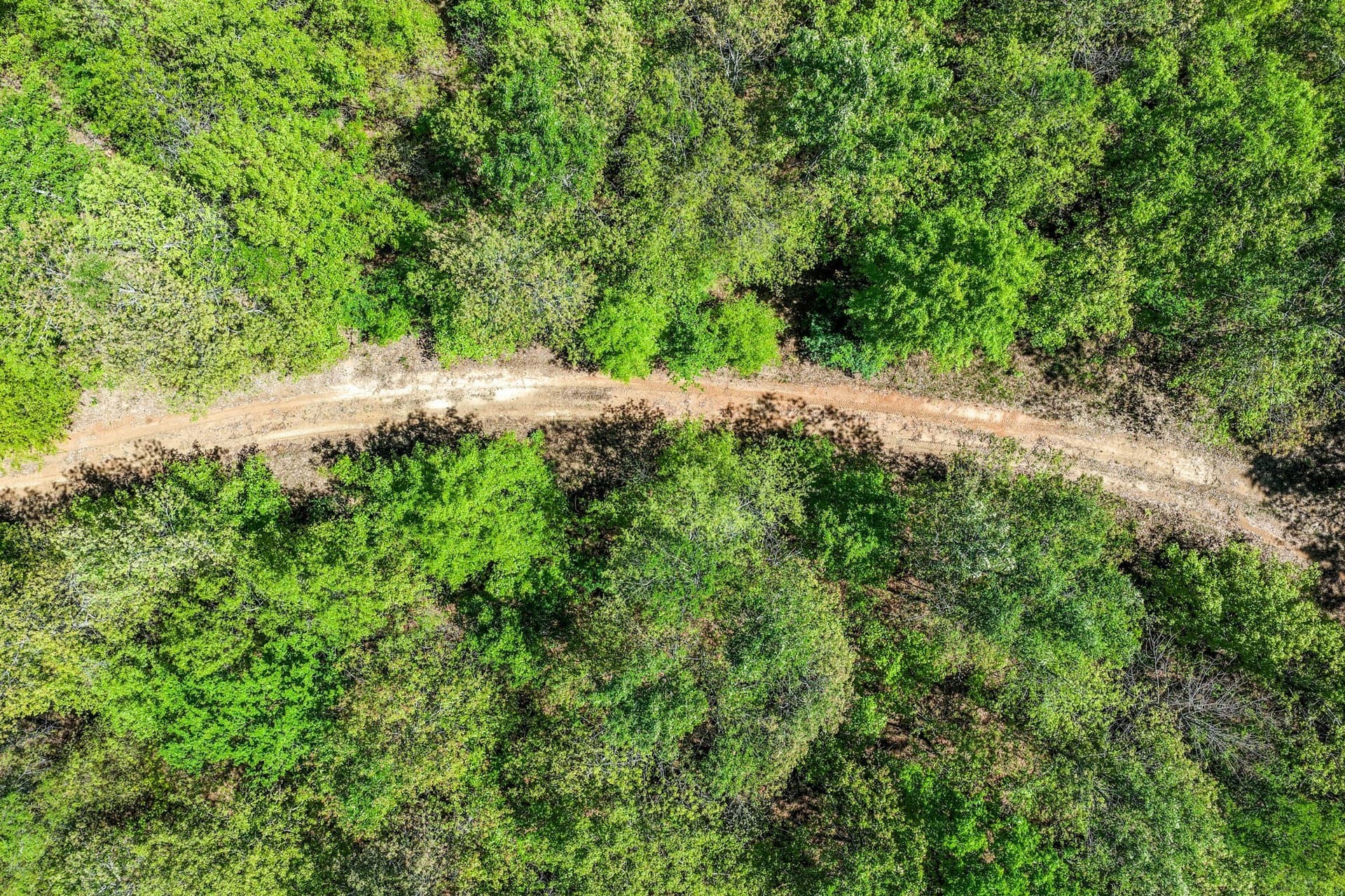 61 acres in Lamar County - photo 39