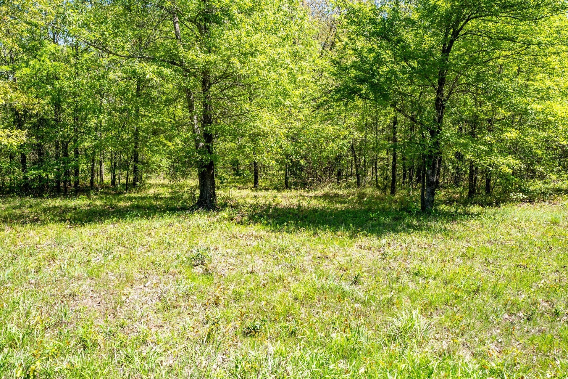 61 acres in Lamar County - photo 25