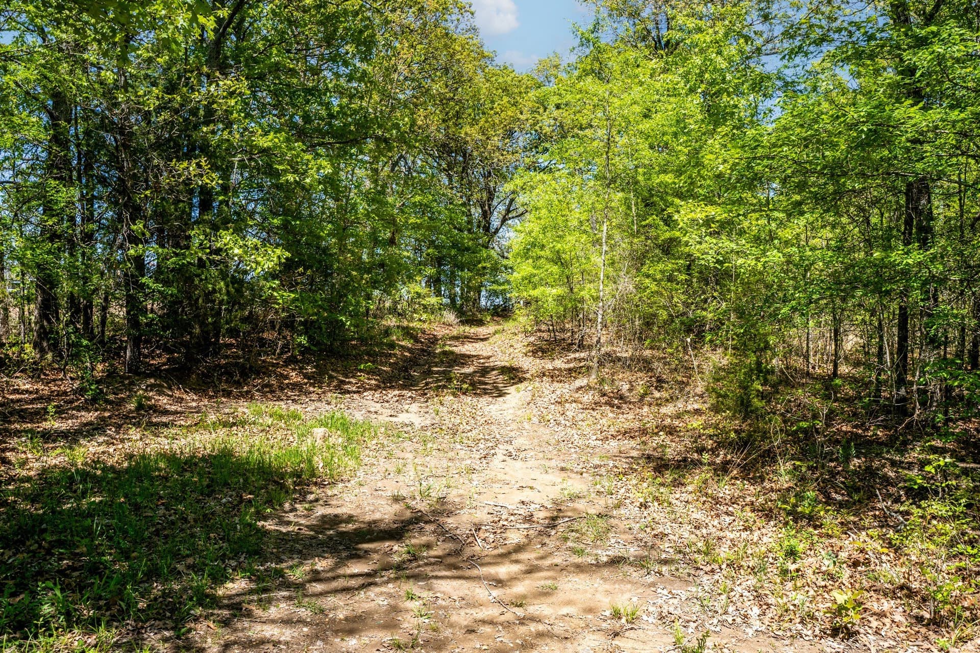 61 acres in Lamar County - photo 14