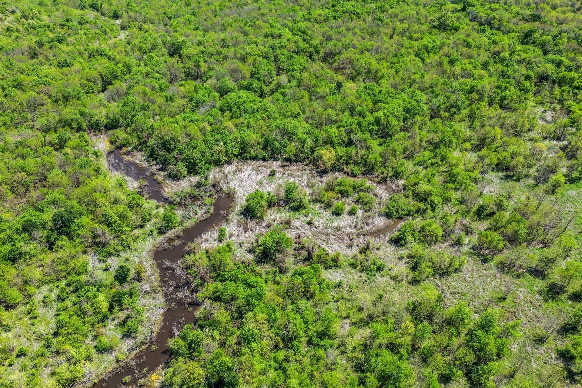 61 acres in Lamar County - photo 35