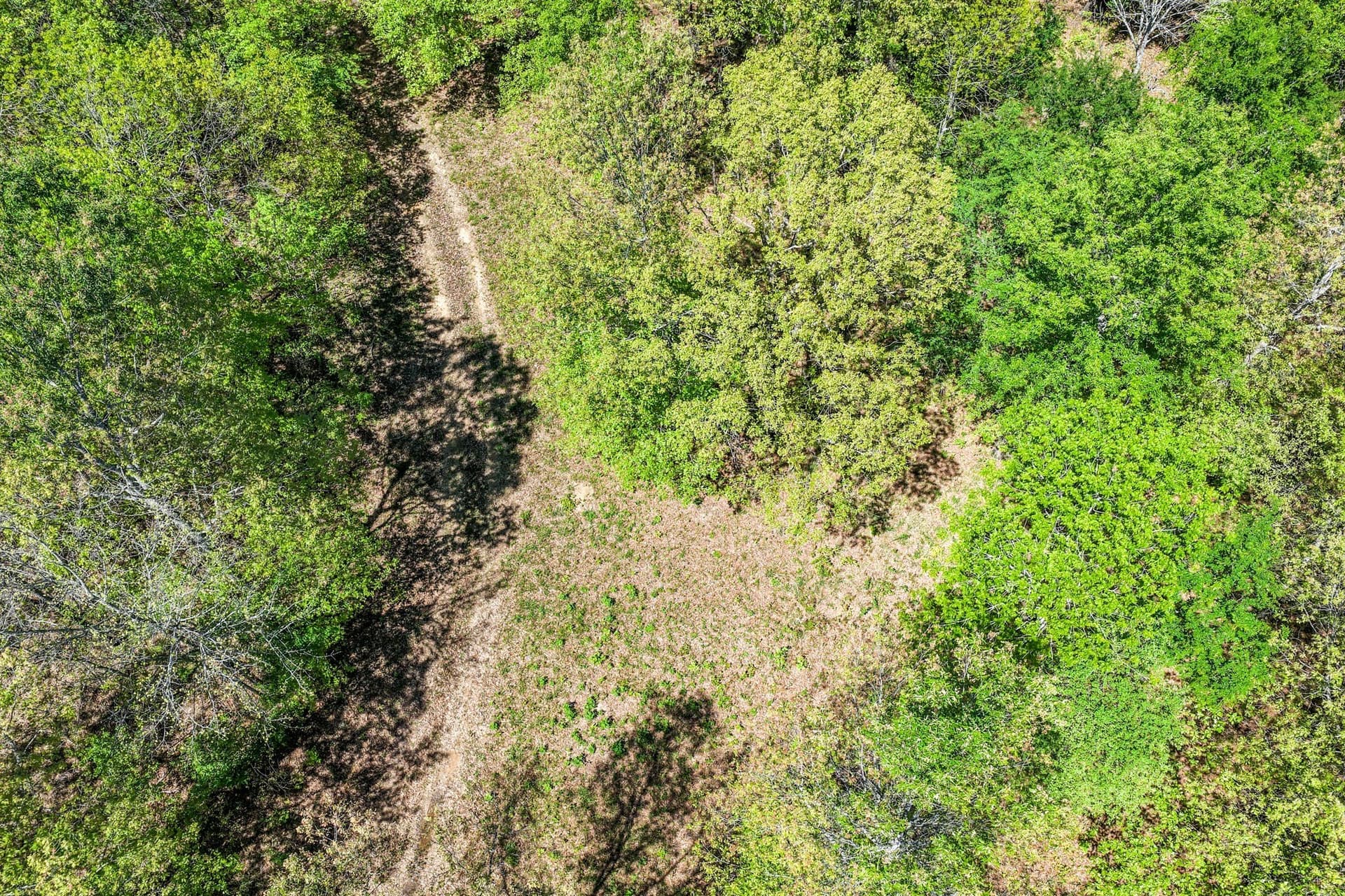 61 acres in Lamar County - photo 12