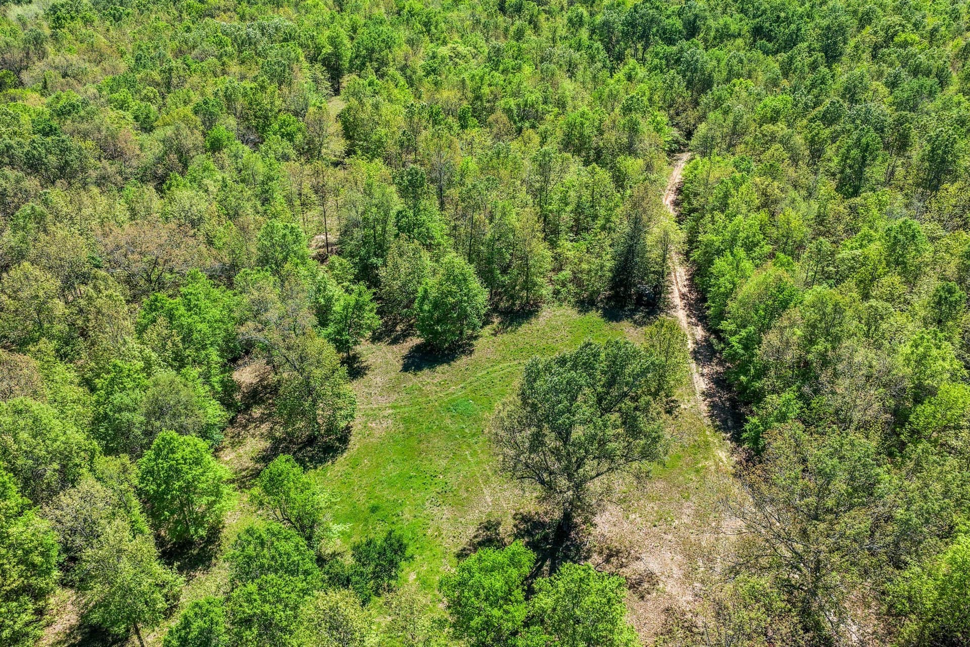 61 acres in Lamar County - photo 38