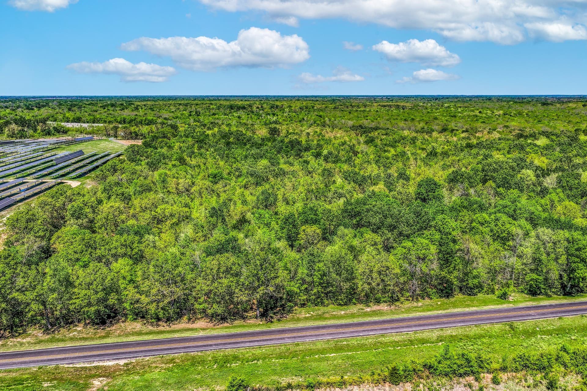 61 acres in Lamar County - photo 8