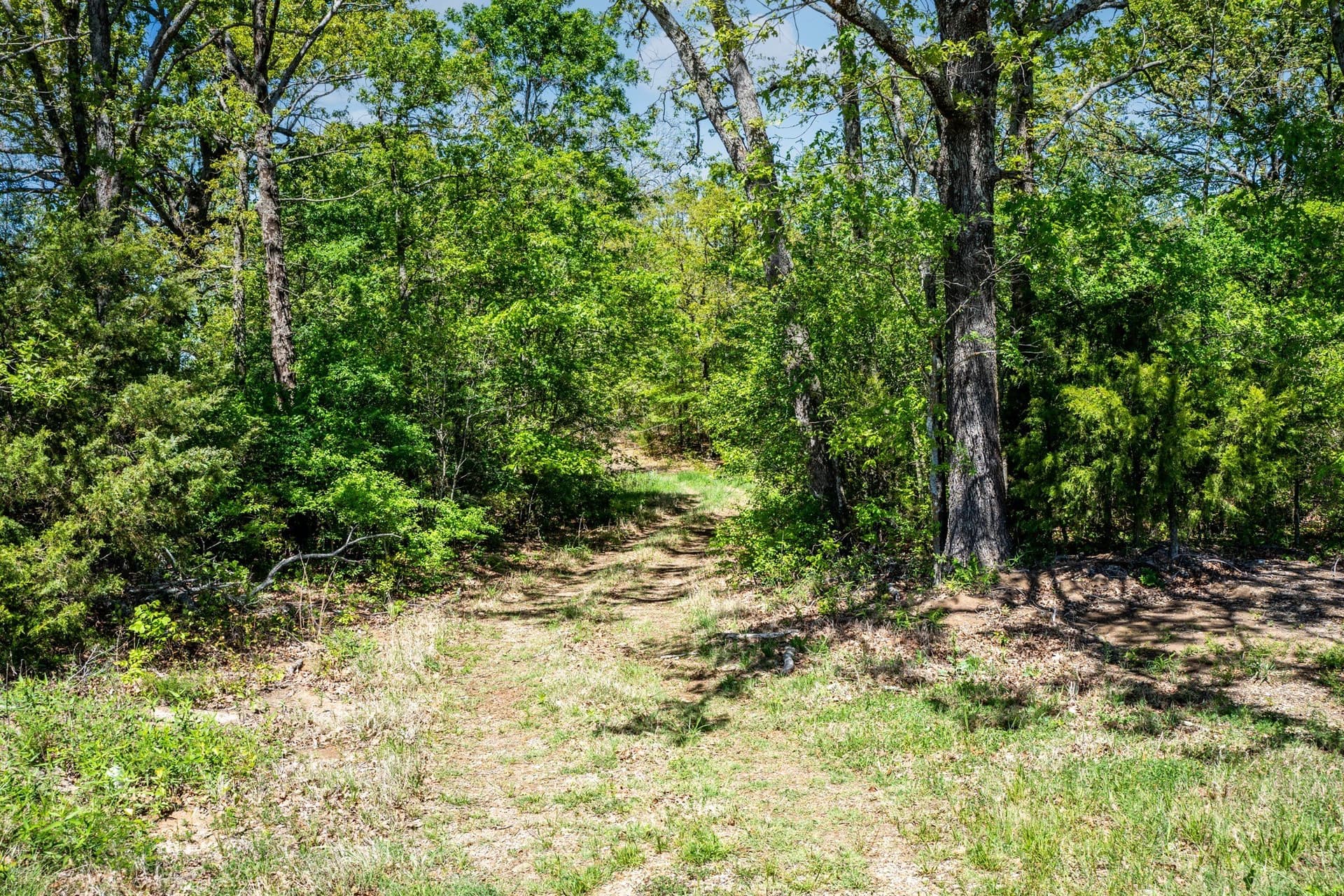 61 acres in Lamar County - photo 29
