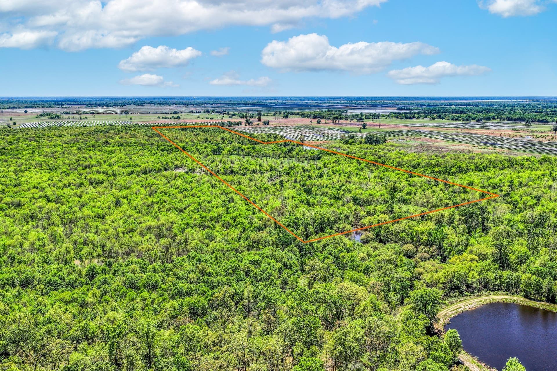 61 acres in Lamar County featured view