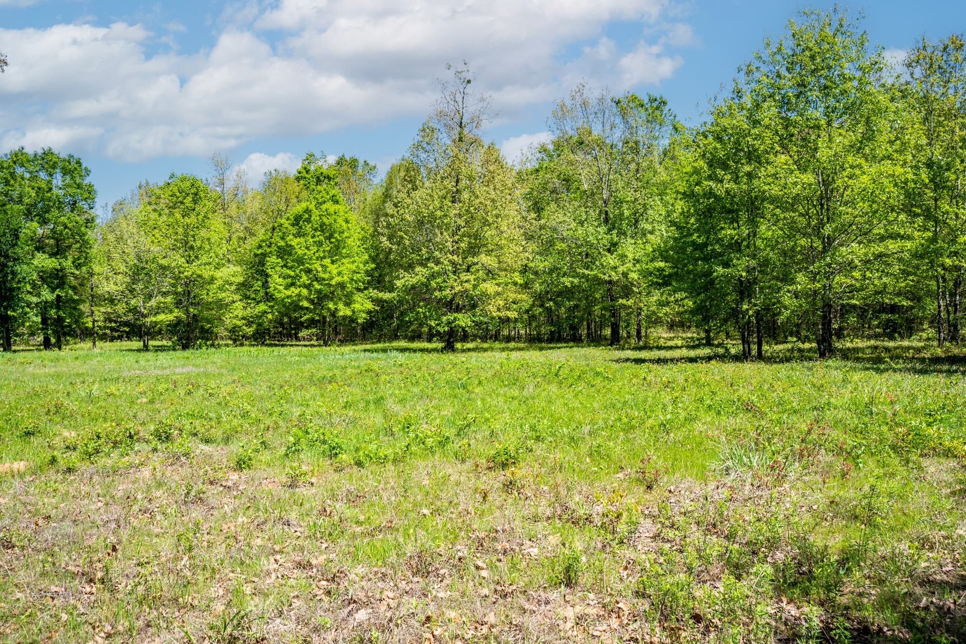 61 acres in Lamar County - photo 24