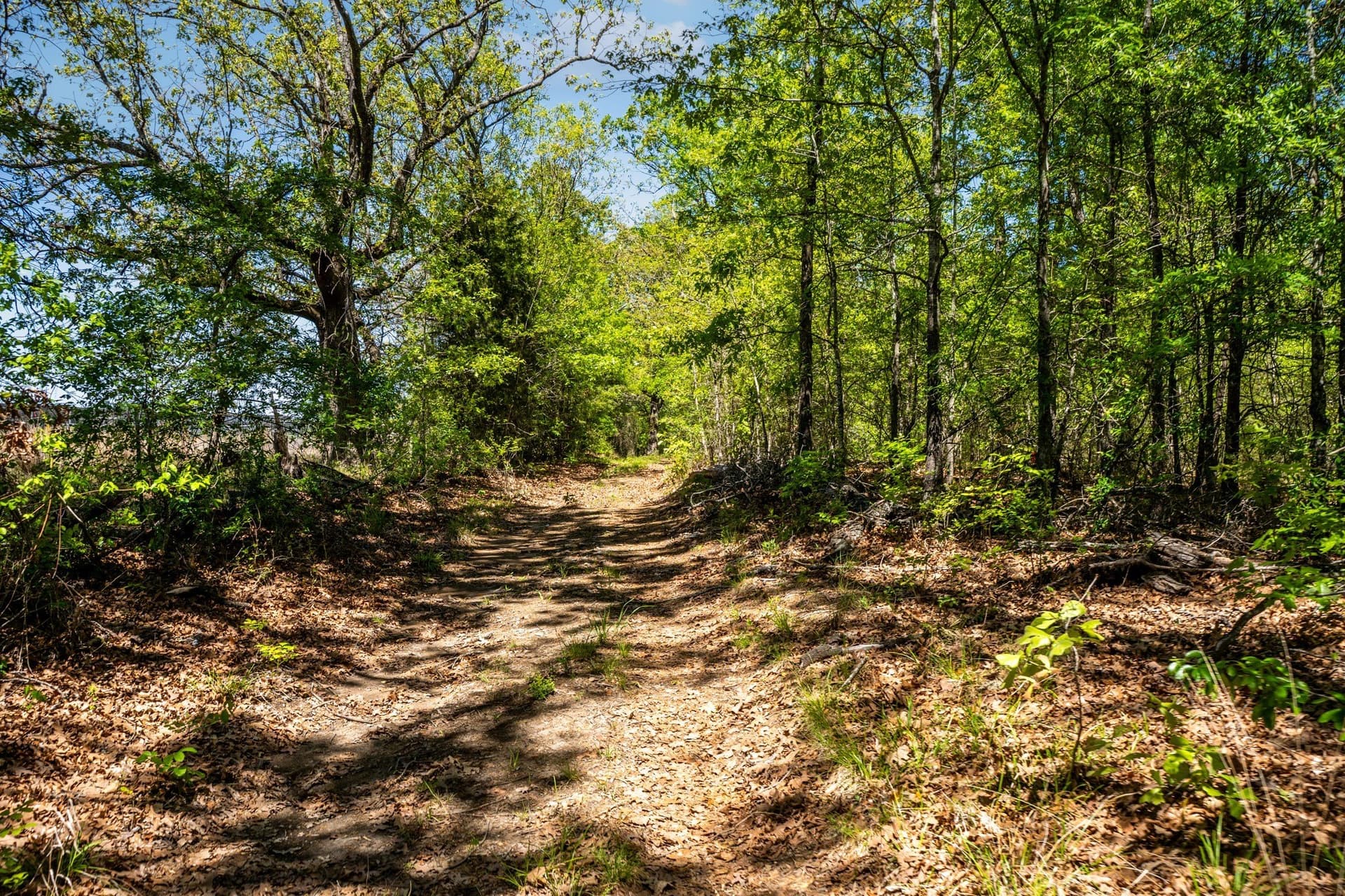 61 acres in Lamar County - photo 15