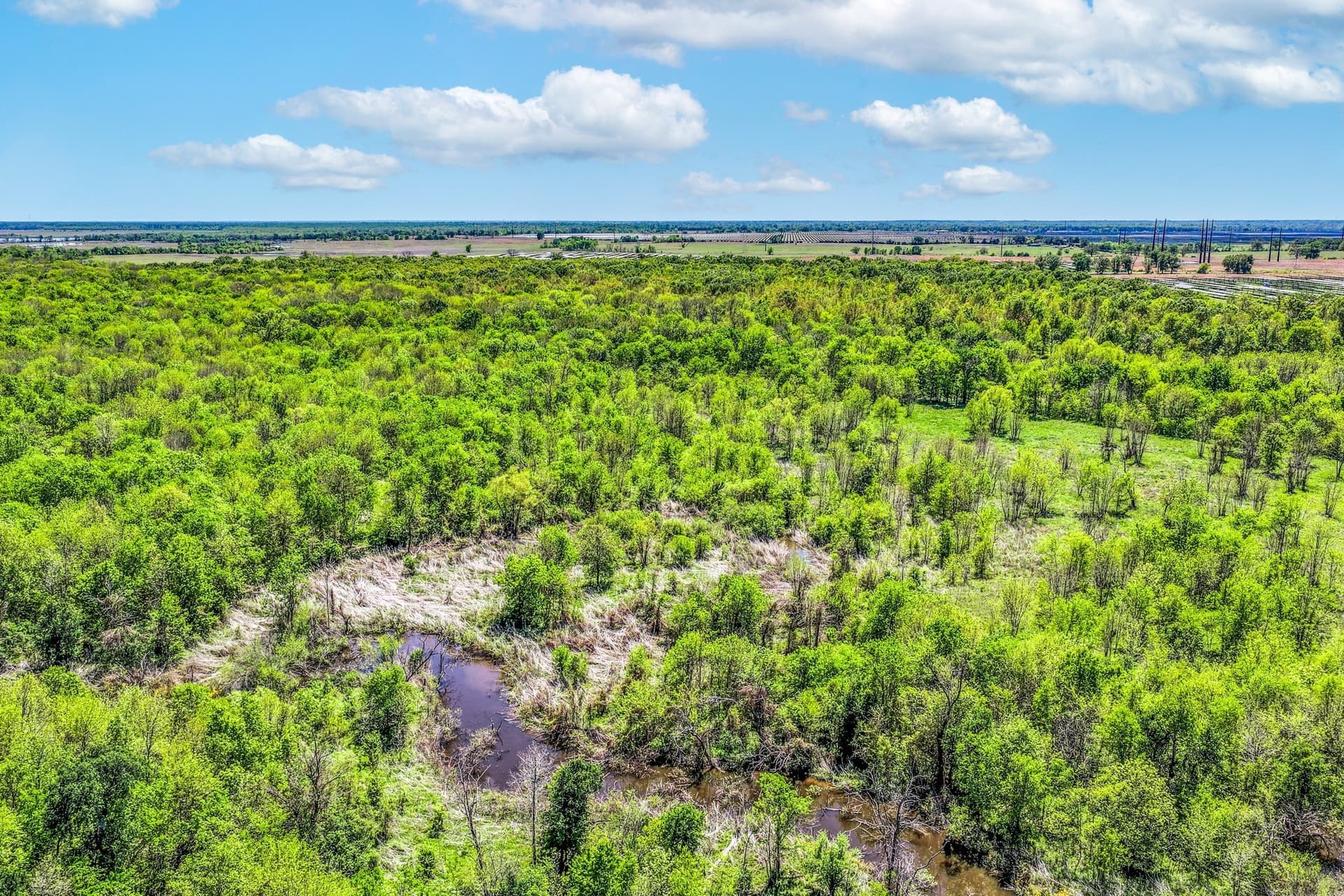 61 acres in Lamar County - photo 6