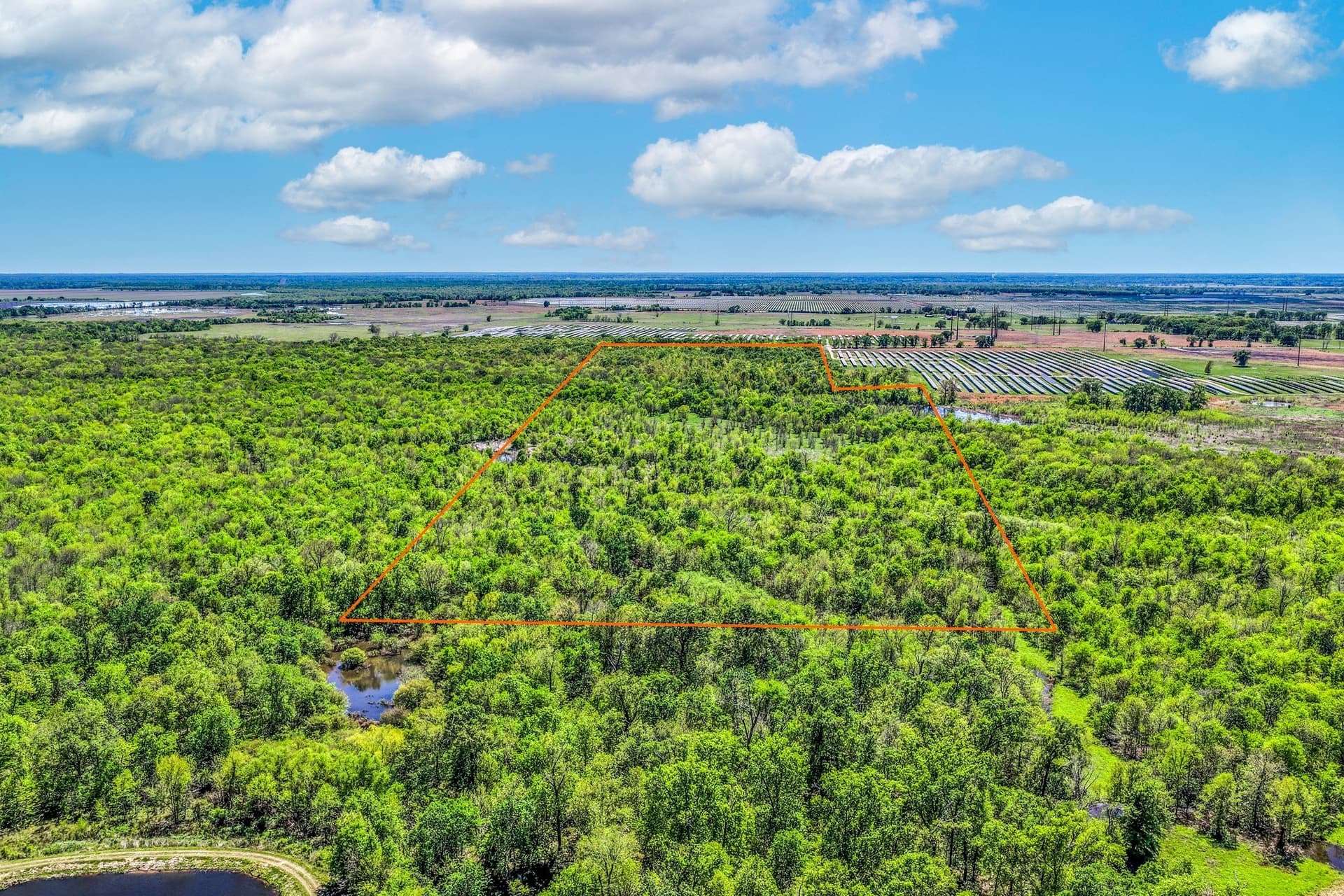61 acres in Lamar County gallery image 4
