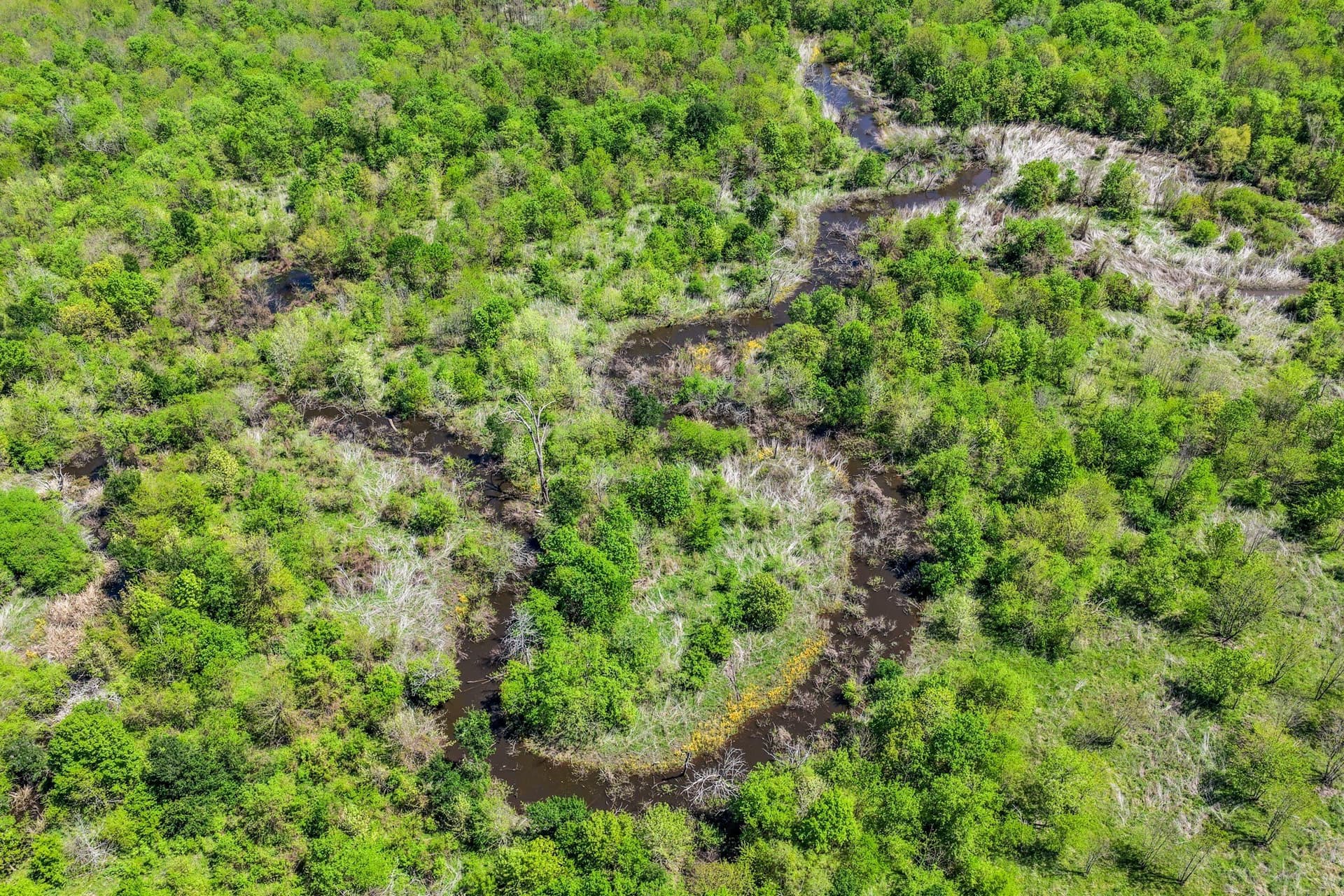 61 acres in Lamar County - photo 36