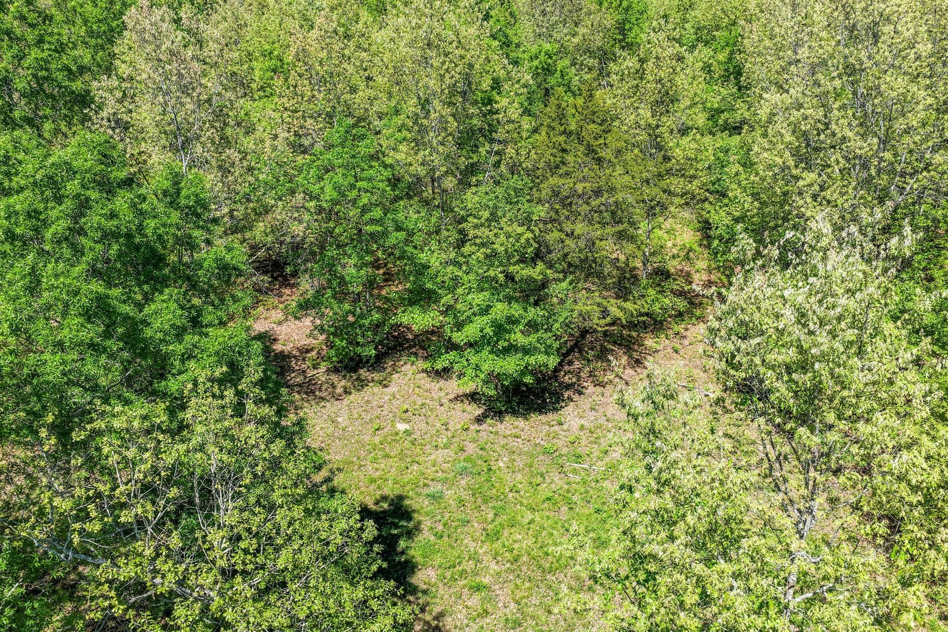 61 acres in Lamar County - photo 11