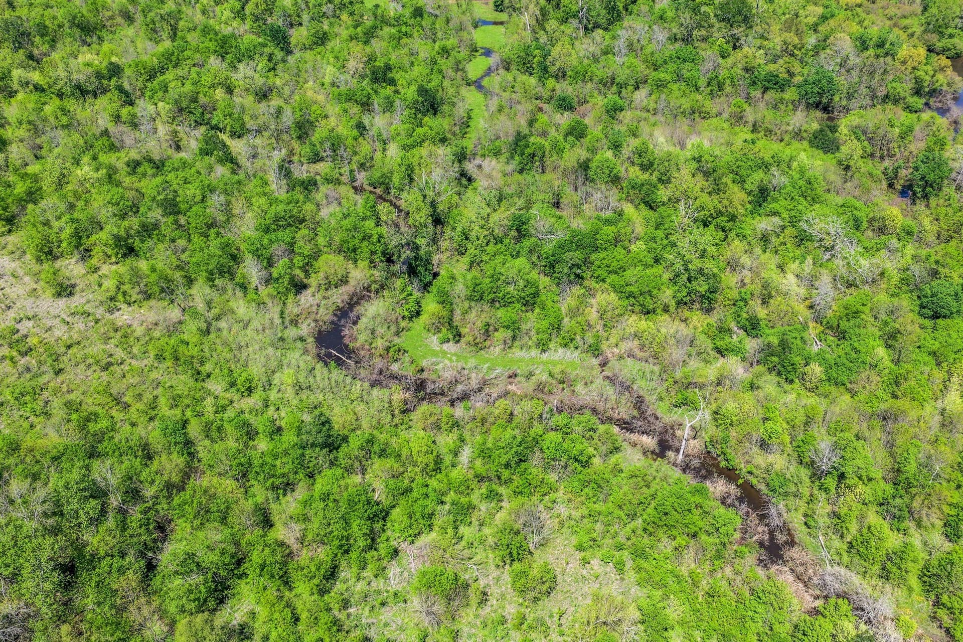 61 acres in Lamar County - photo 37