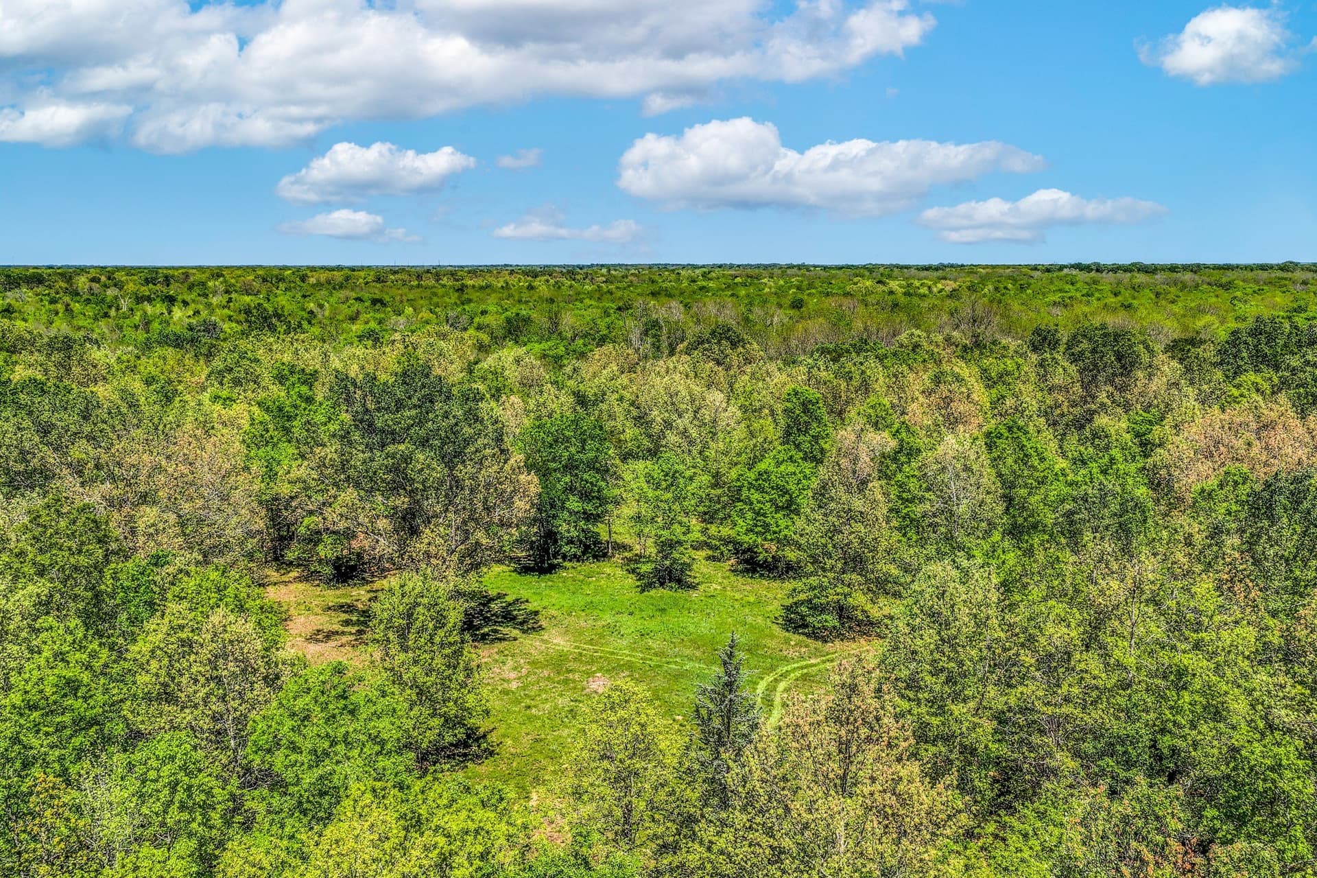 61 acres in Lamar County - photo 10
