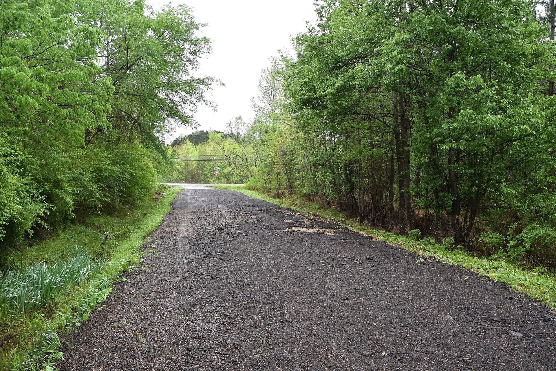 1 acres in Bowie County featured view