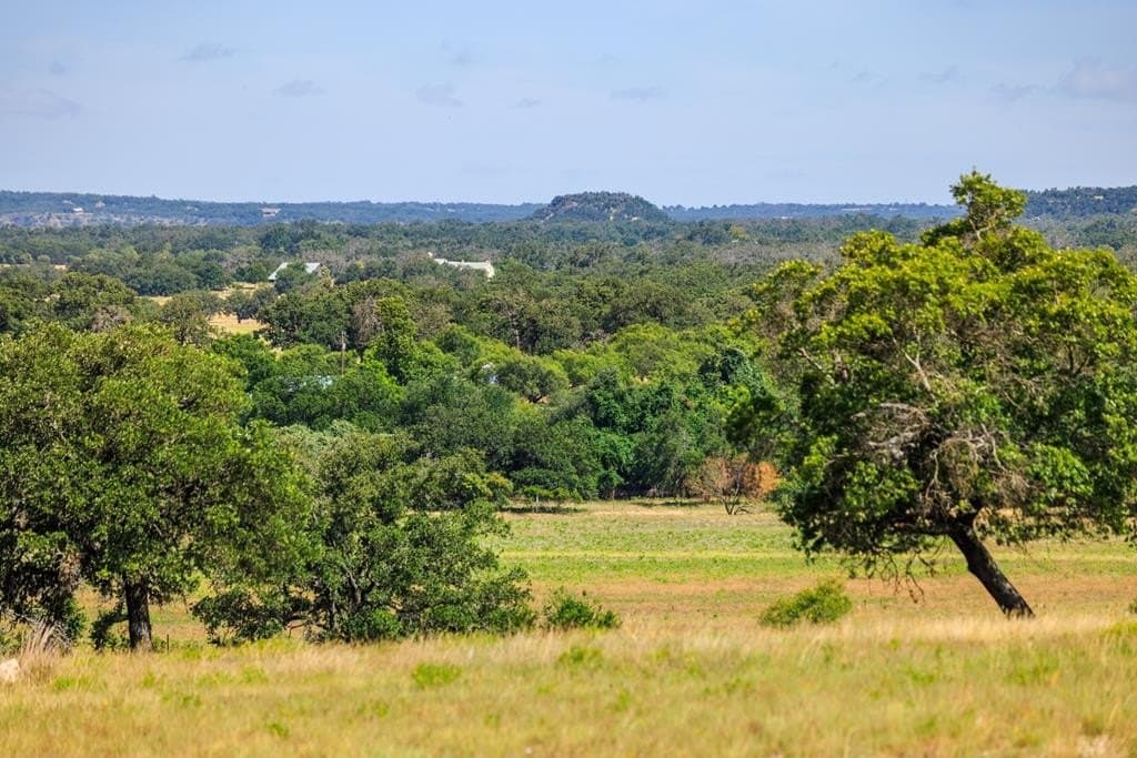 62 acres in Gillespie County - photo 40