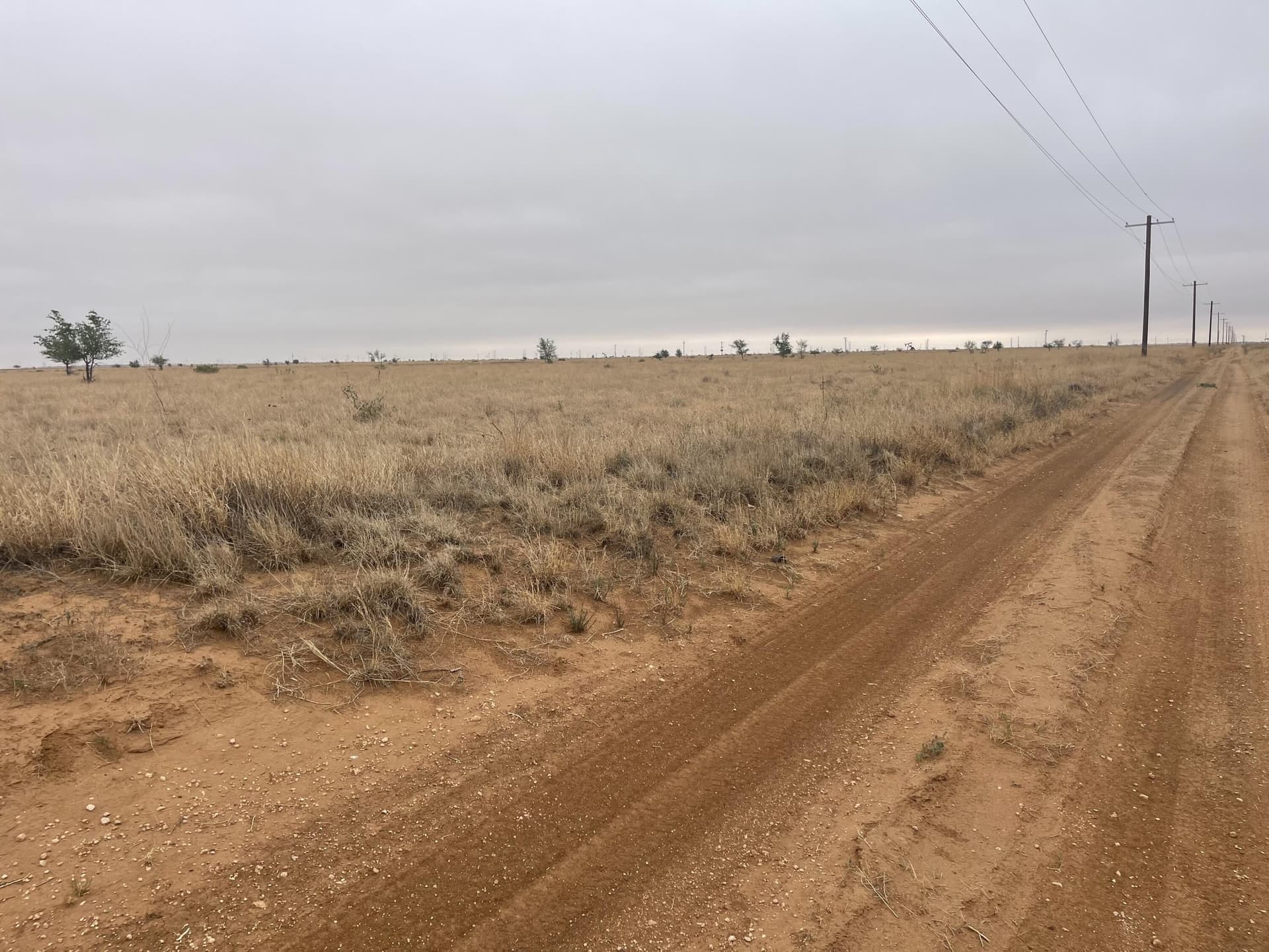 339.5 acres in Lubbock County gallery image 2