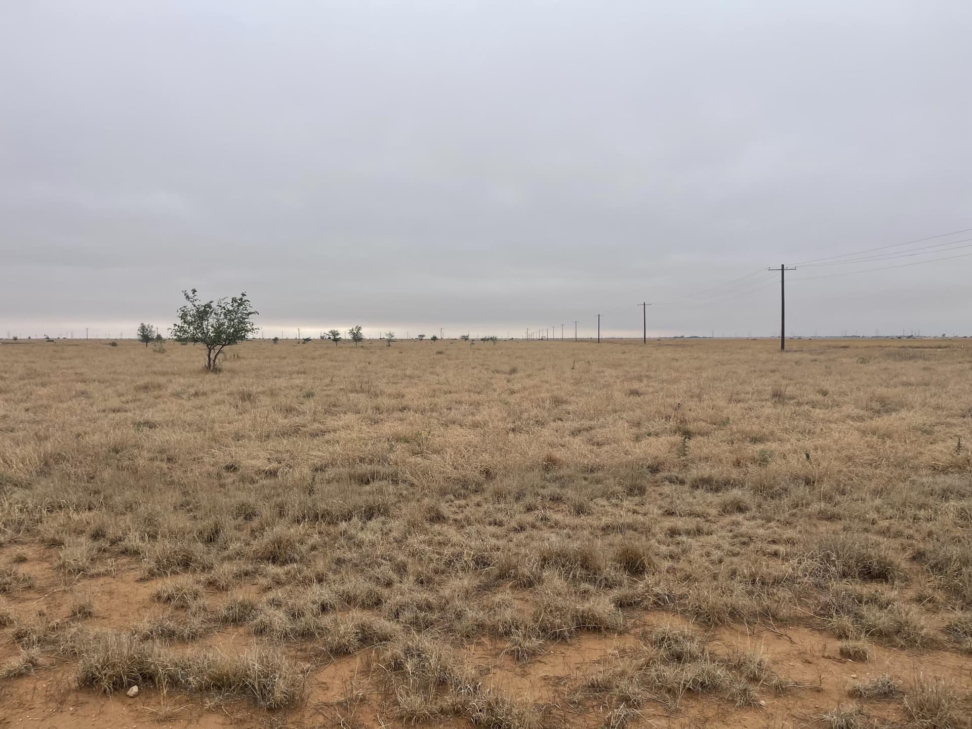 339.5 acres in Lubbock County gallery image 3
