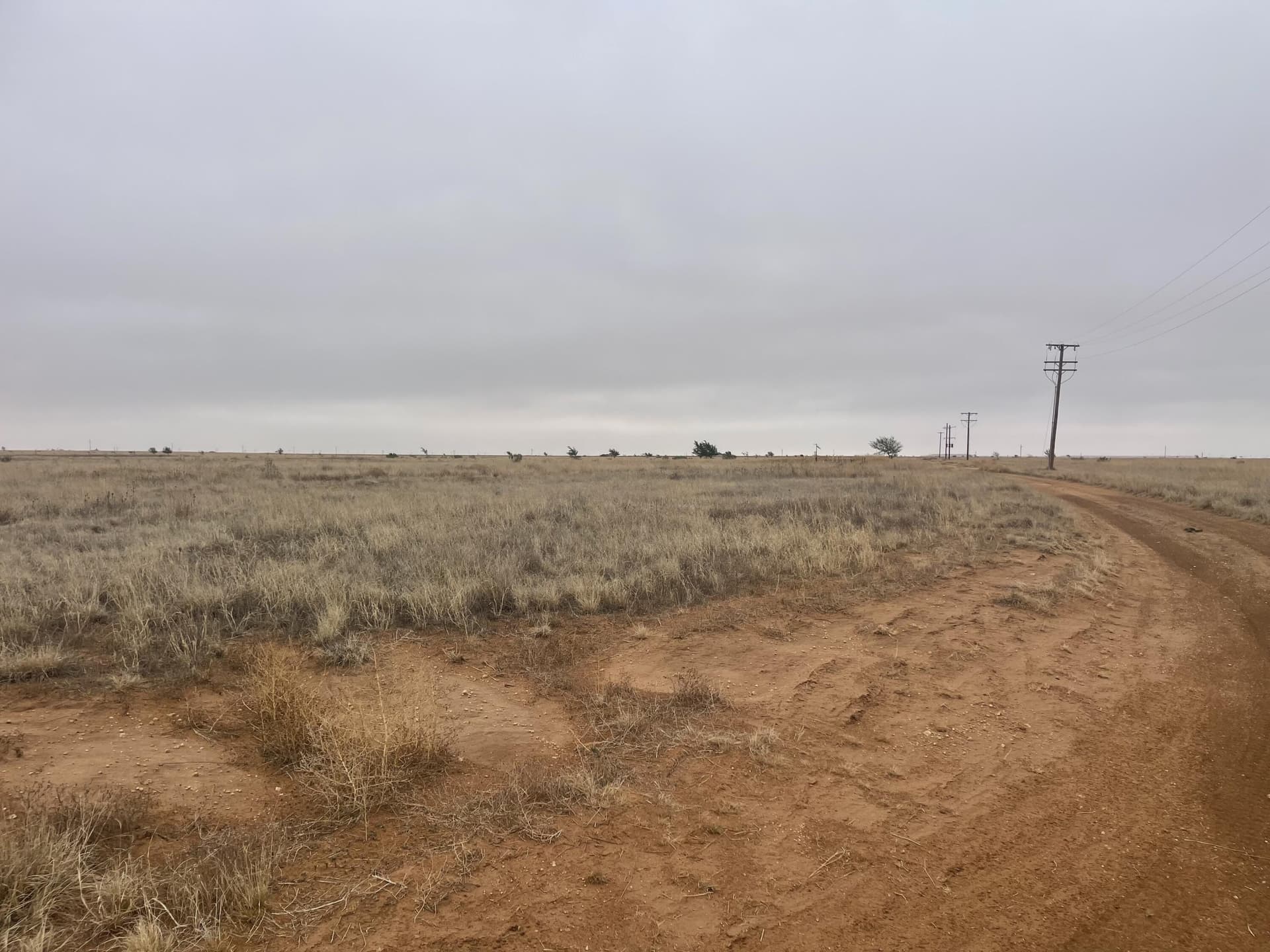 339.5 acres in Lubbock County featured view