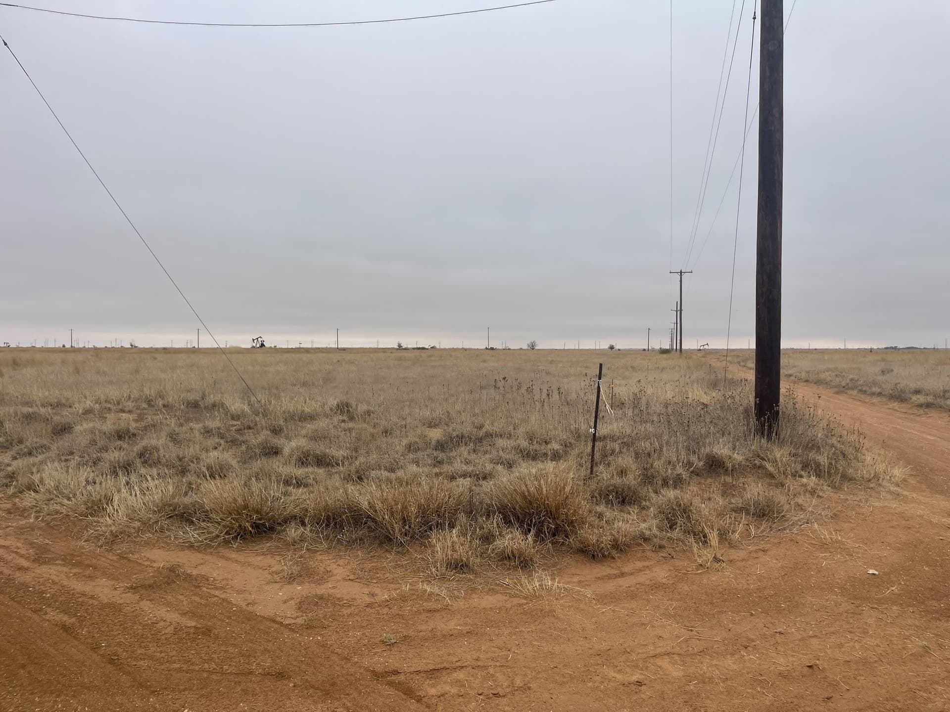 339.5 acres in Lubbock County gallery image 4