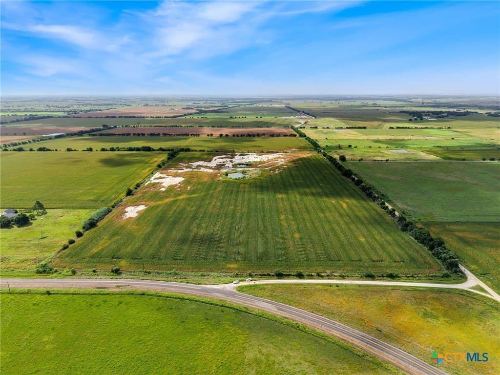 49.91 acres in Falls County gallery image 3