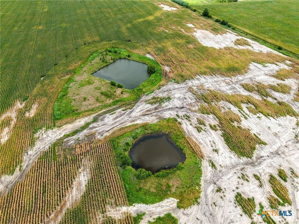 49.91 acres in Falls County gallery image 4