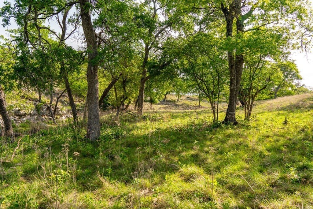 116 acres in Kendall County - photo 79