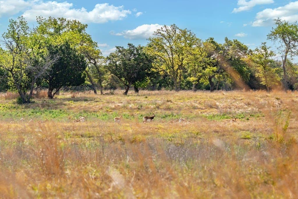 116 acres in Kendall County - photo 84