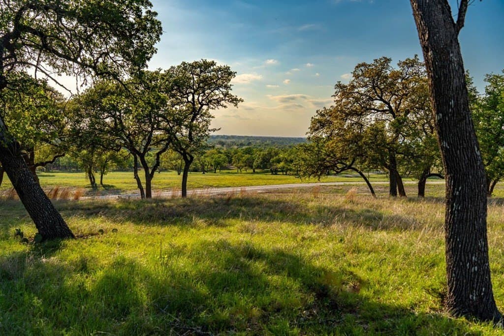 116 acres in Kendall County gallery image 4
