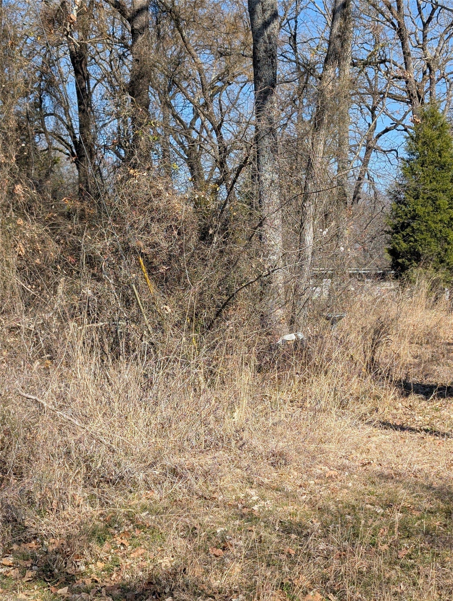 0.12 acres in Henderson County gallery image 2