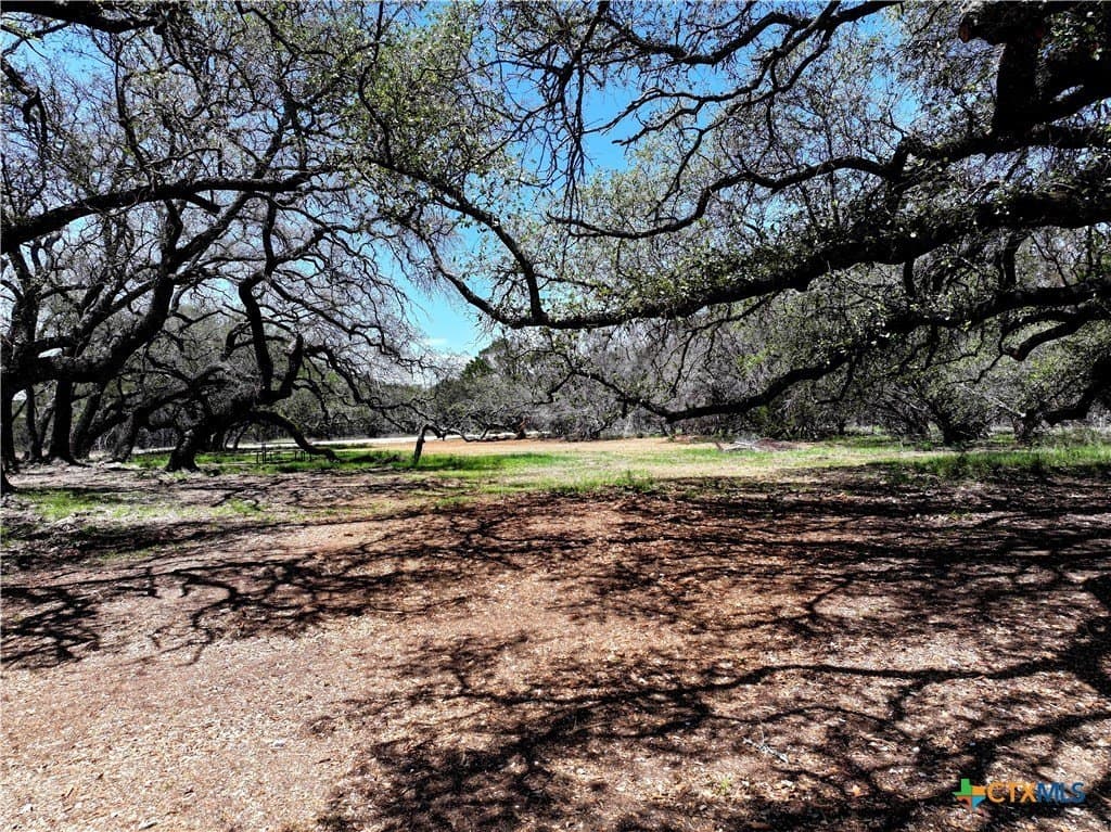 10 acres in Burnet County - photo 7
