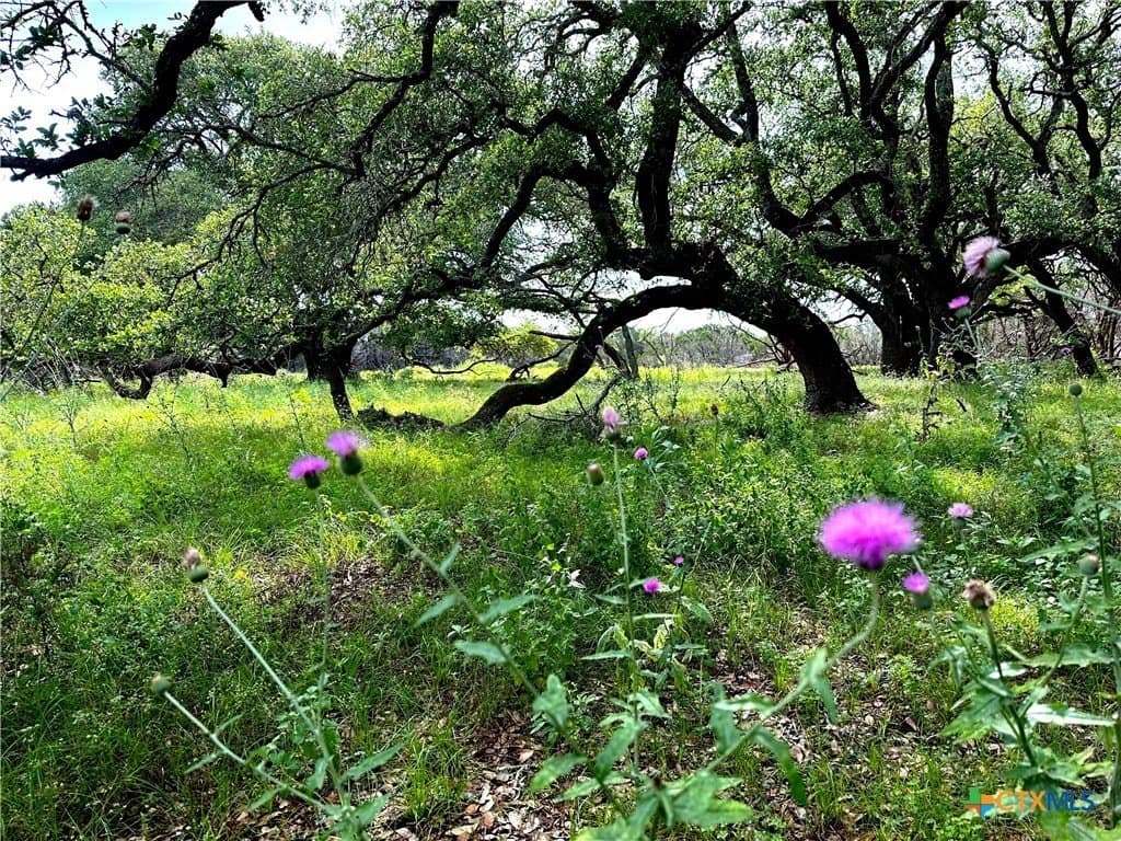 10 acres in Burnet County - photo 19