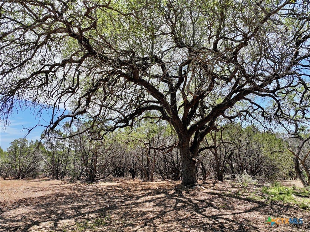 10 acres in Burnet County - photo 6