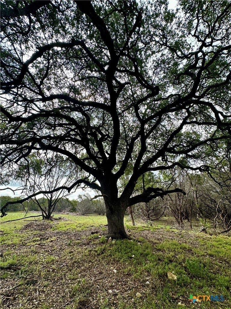 10 acres in Burnet County - photo 17